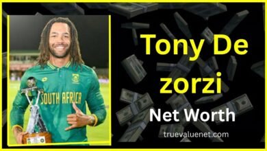 Tony de Zorzi Net Worth 2025