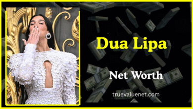 Dua Lipa Net Worth 2025